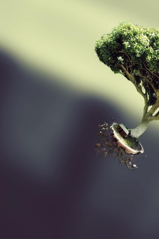 Дерево вырвалось на свободу