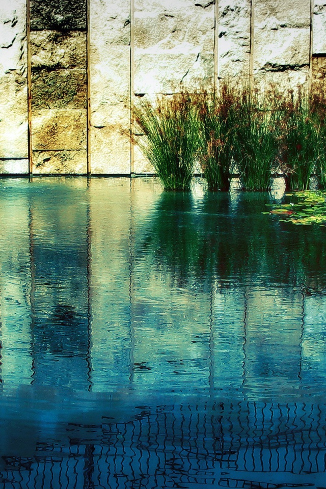 Водные растения у каменной стены