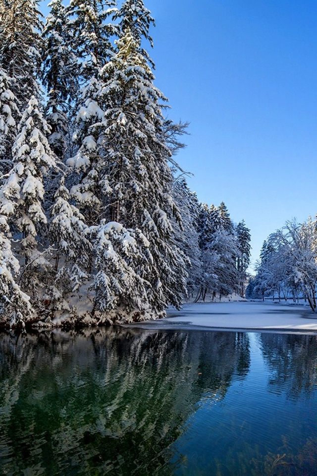 Участок чистой воды на зимней реке