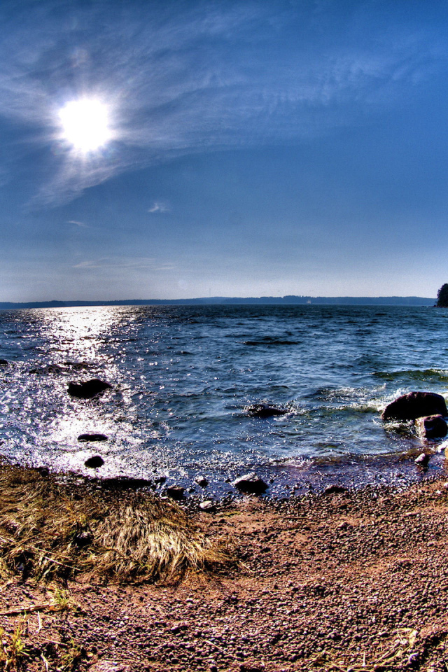 Берег лесного озера с камнями