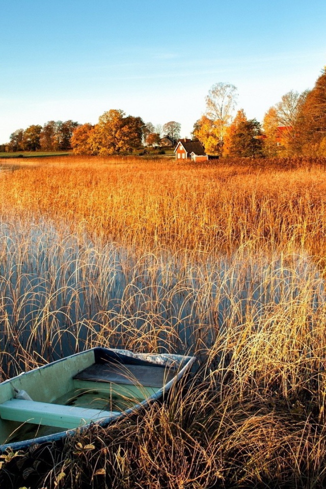 Лодка у берега заболоченного озера