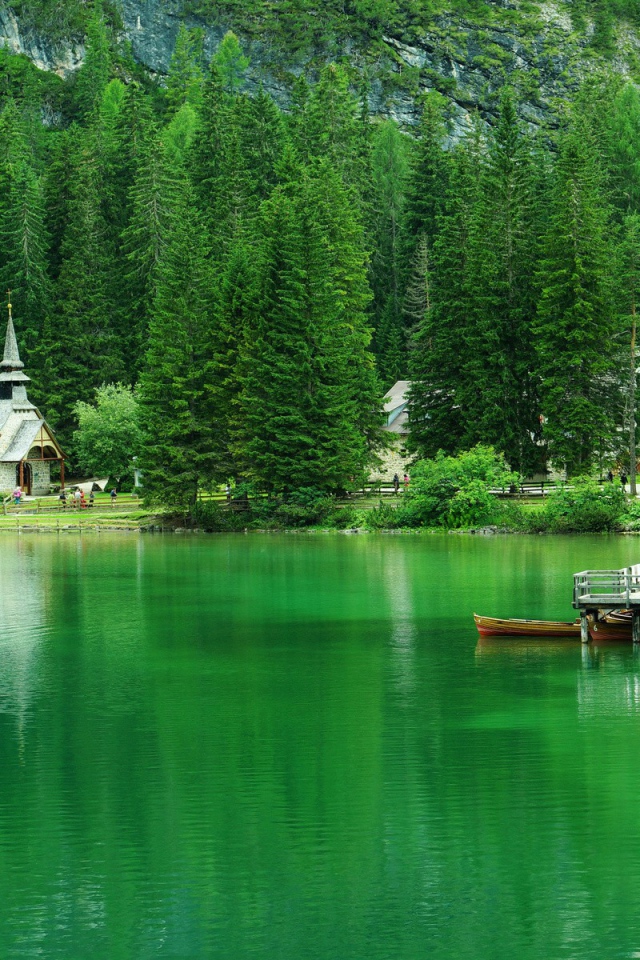 Хвойные деревья вокруг зеленого озера