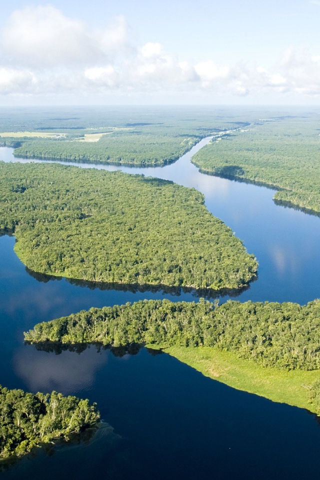 Густые леса на реке Амазонка