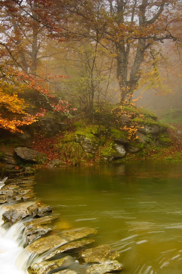 Зеленая вода в неглубокой реке