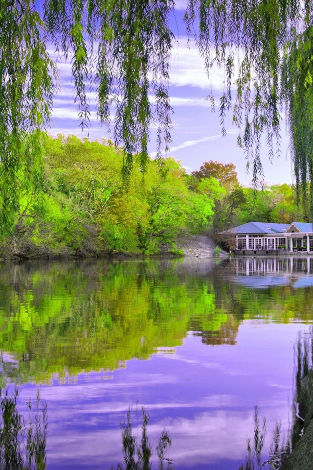 Дом отдыха у озера в лесу