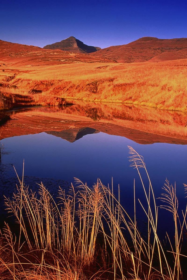 Озерцо с дождевой водой