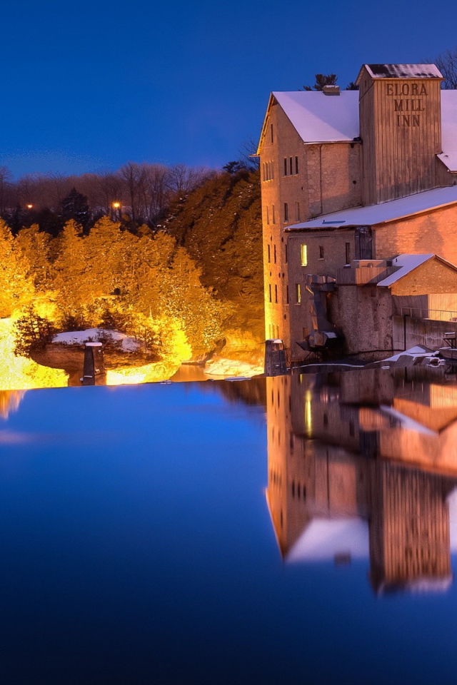 Освещенные деревья на берегу озера