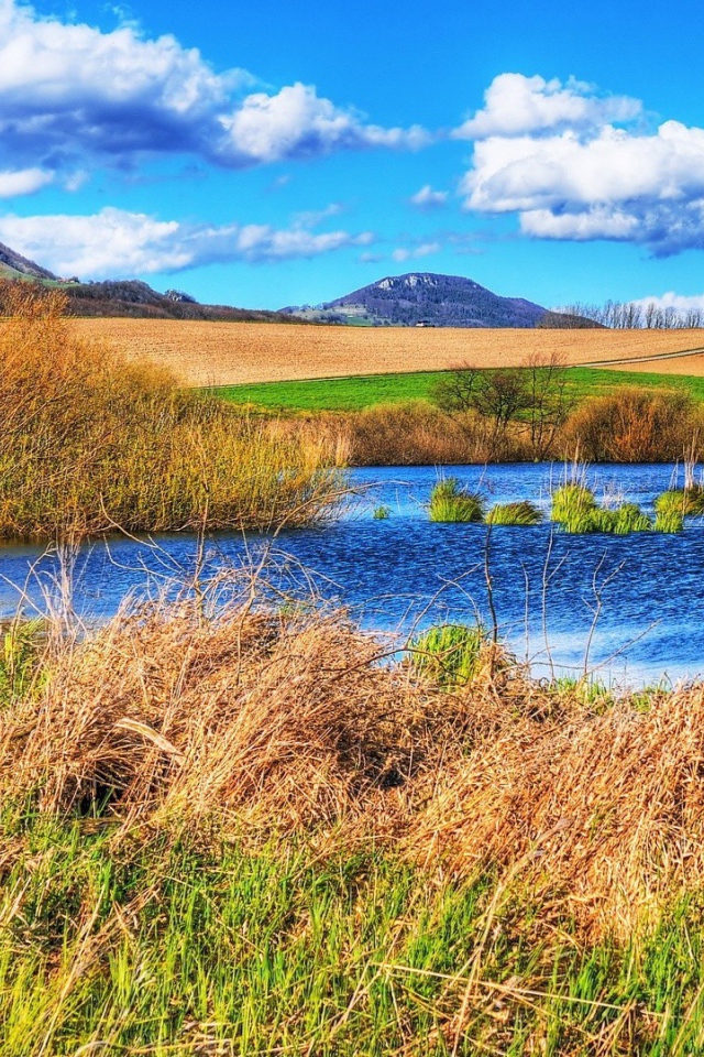 Болотистое место среди полей