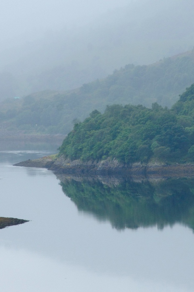 Извилистая река посреди поросших деревьями берегов