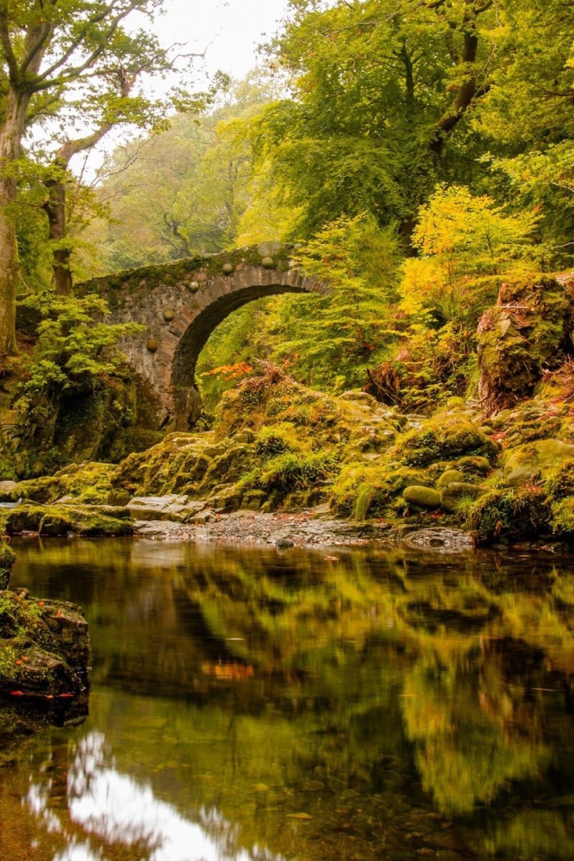 Старинный каменный мост над спокойной рекой в лесу