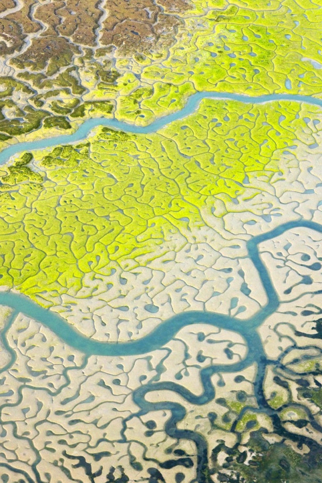 Снимок дельты реки из космоса