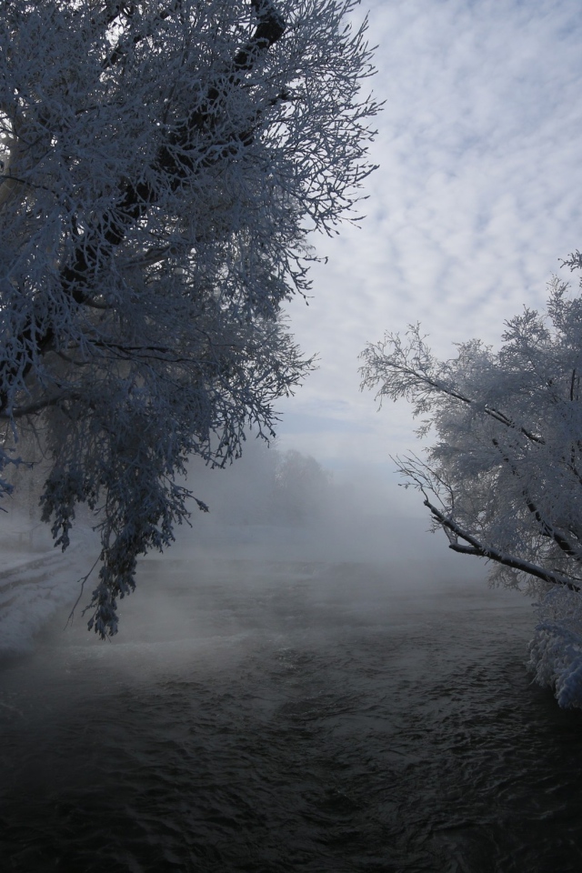 Быстрая река не замерзла зимой