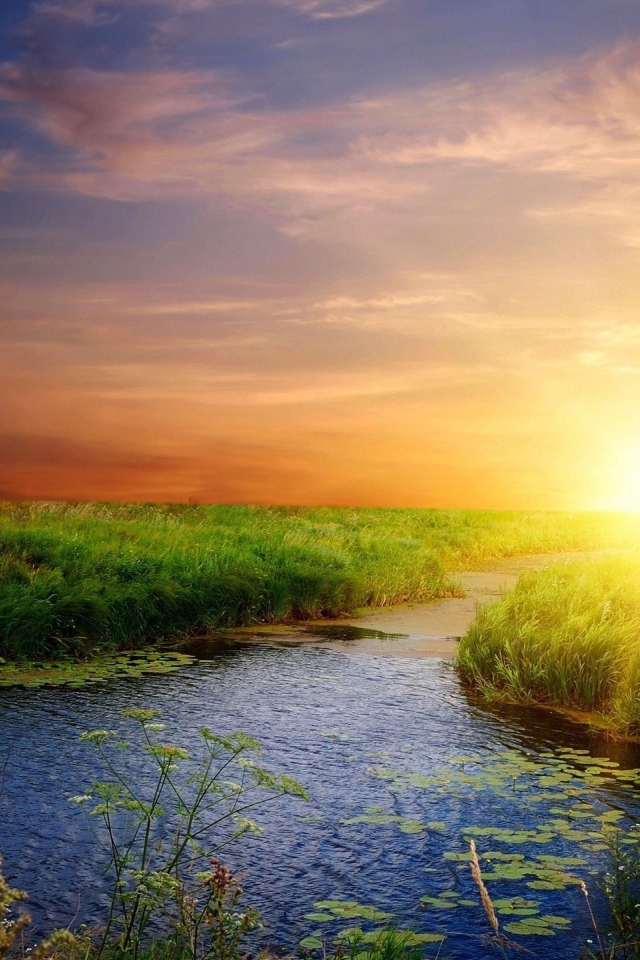 Река среди зеленой травы на закате