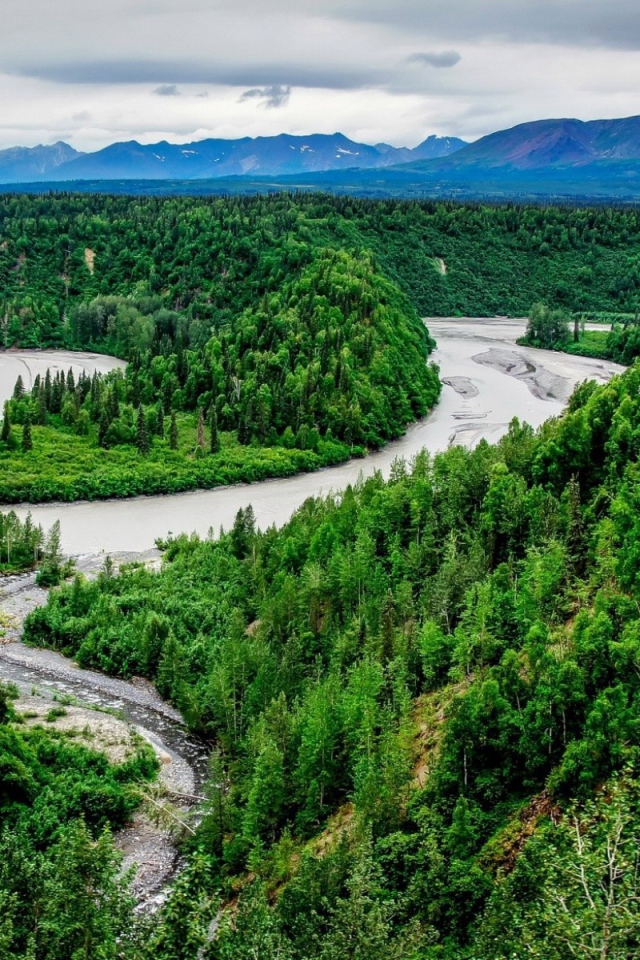 Ручей впадает в реку среди тундры