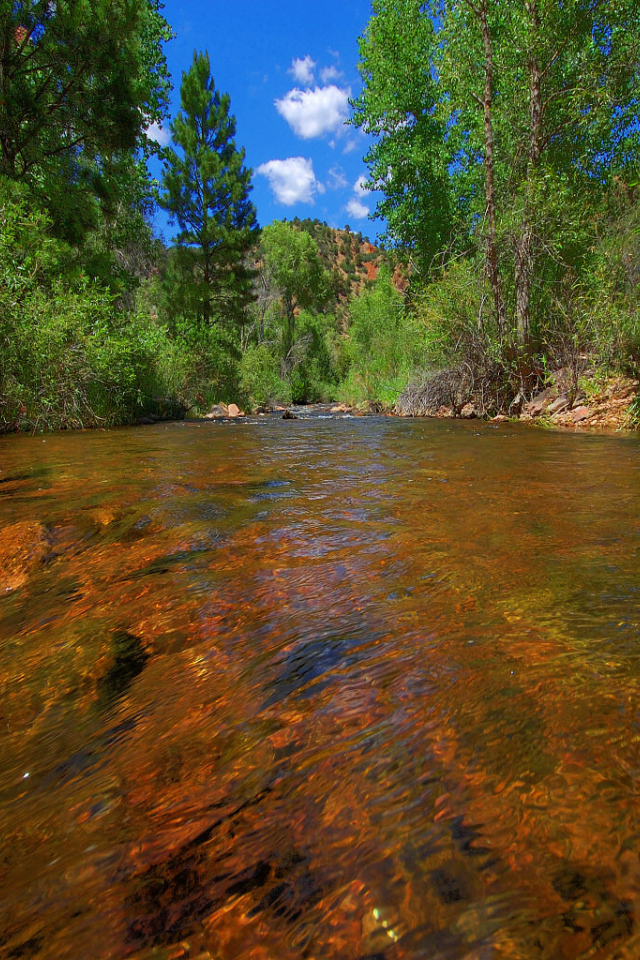 Прозрачная река в горах