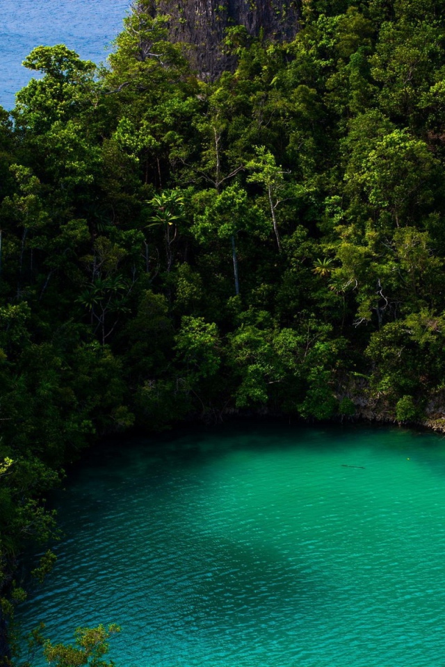 Бирюзовое озеро в тропическом лесу