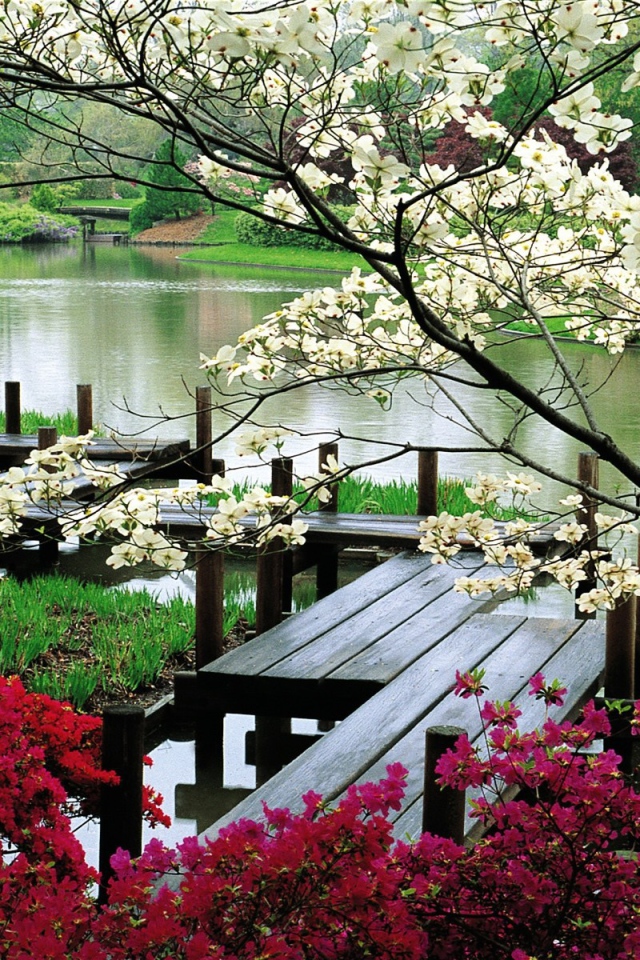 Деревянная дорожка для прогулок у реки