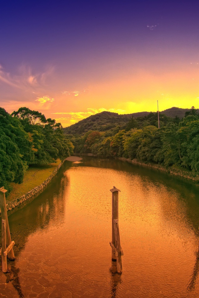 Деревянные столбы в канале