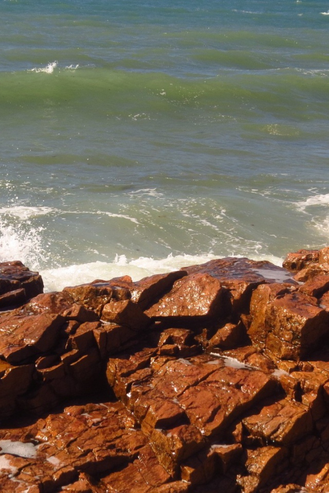 Коричневые камни на берегу моря