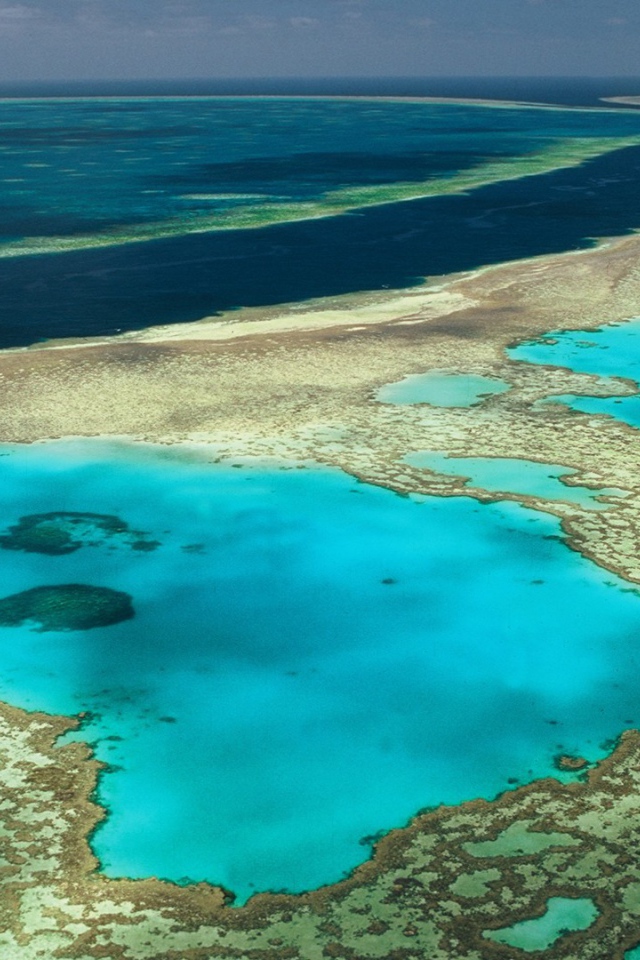 Коралловые рифы в океане