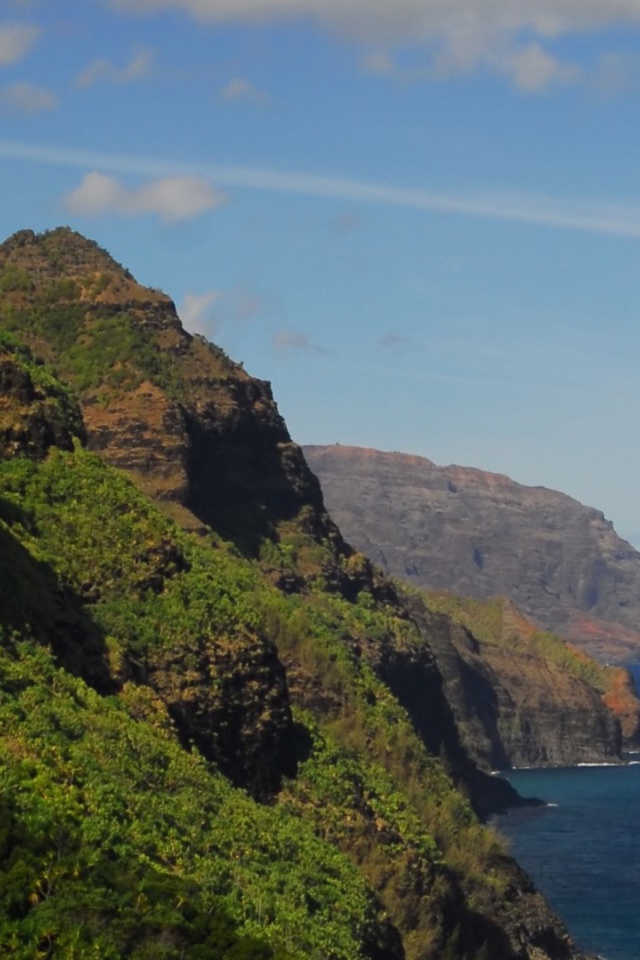 Покрытые лесом скалы над морем