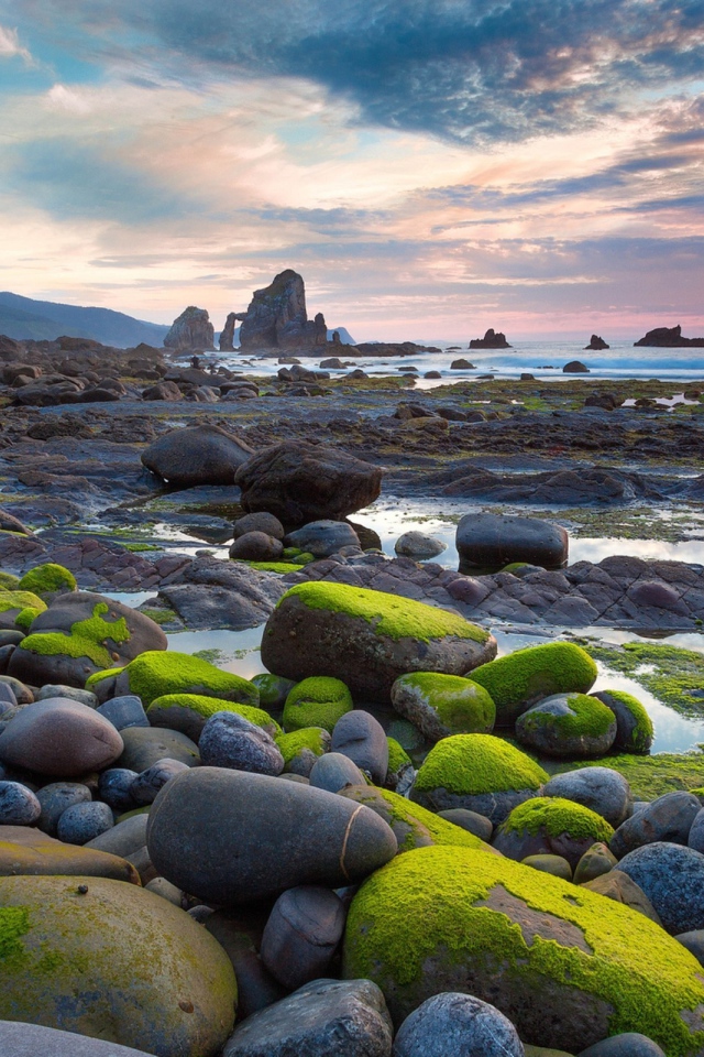 Мох на валунах у моря