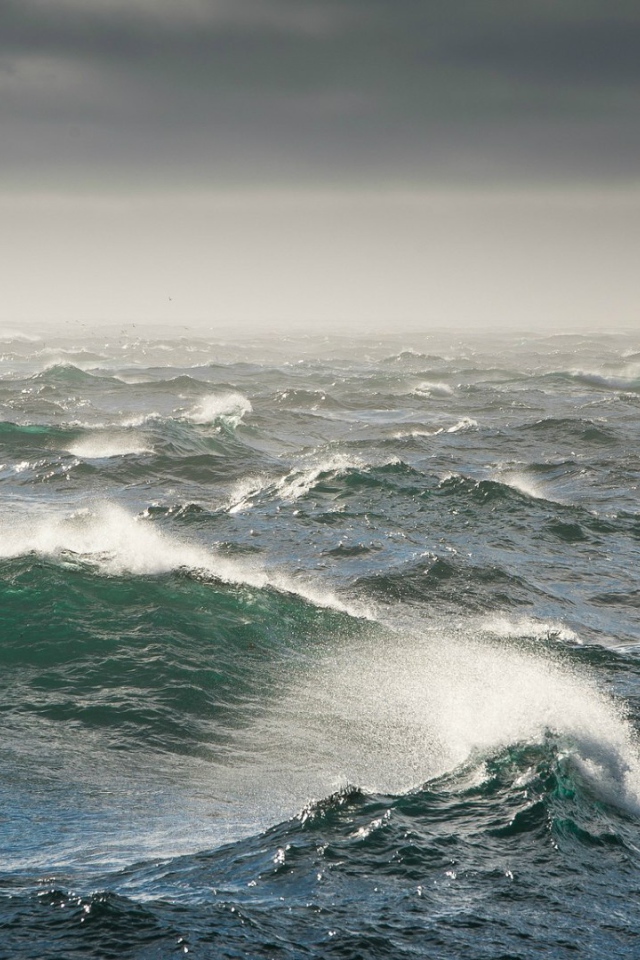 Бурное Берингово море