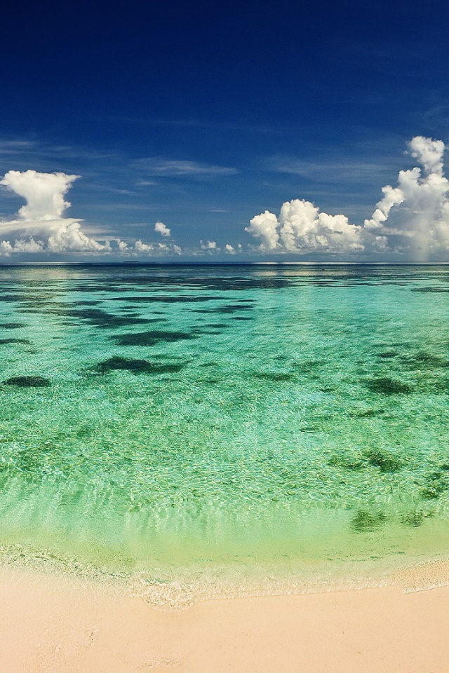 Бирюзовая вода мелководья