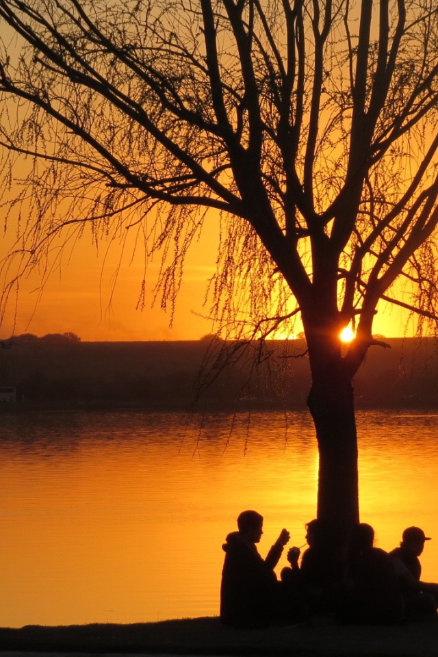 Рыбаки отдыхают под деревом на закате