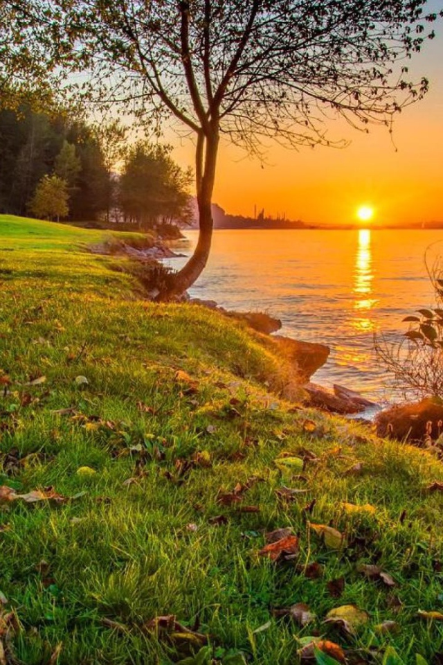 Зеленое побережье реки на закате