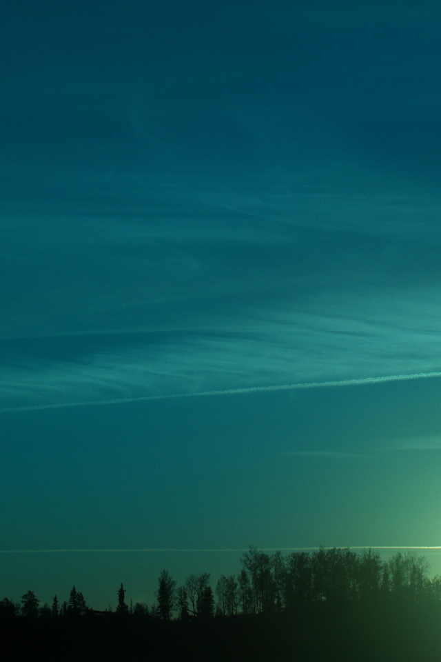 Зеленый закат над лесом