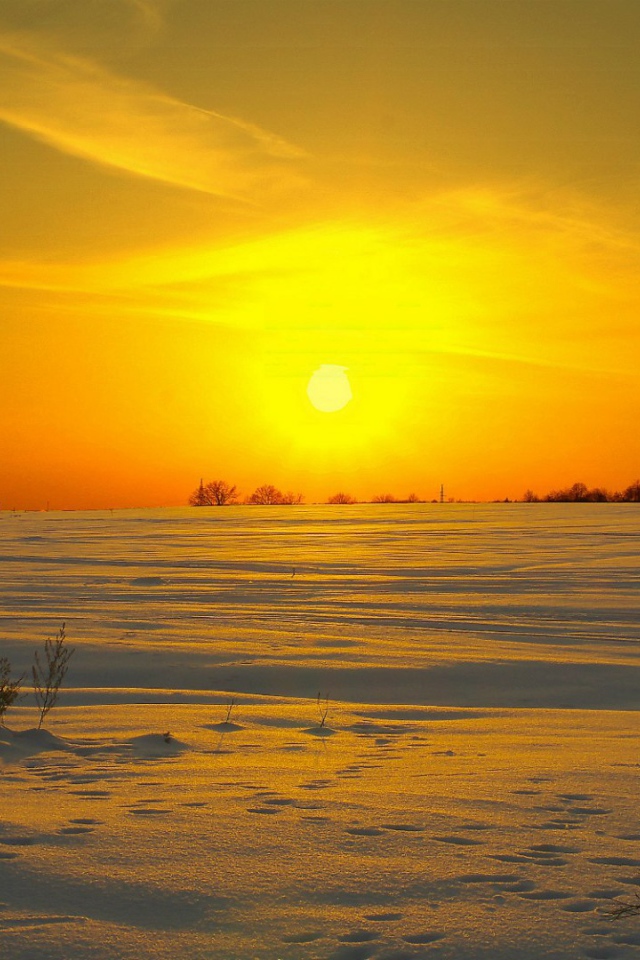 Солнце клонится к закату над заснеженным полем