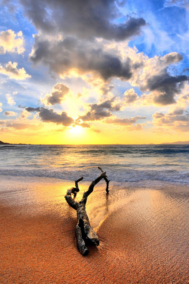 Закат на пляже с веткой