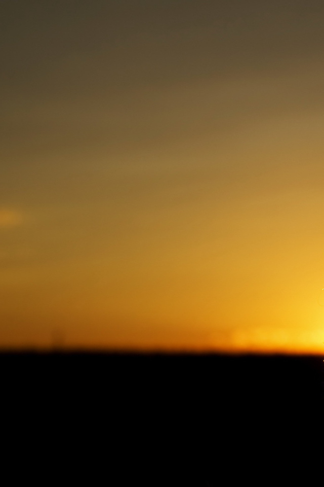 Колосок в лучах заходящего солнца