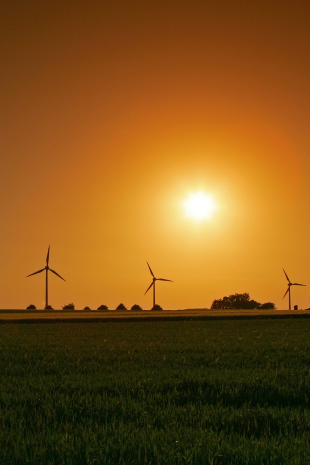 Ветряки на фоне заката
