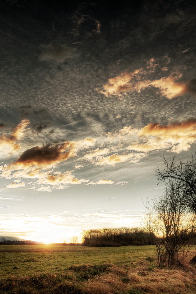 Закат на чистом поле