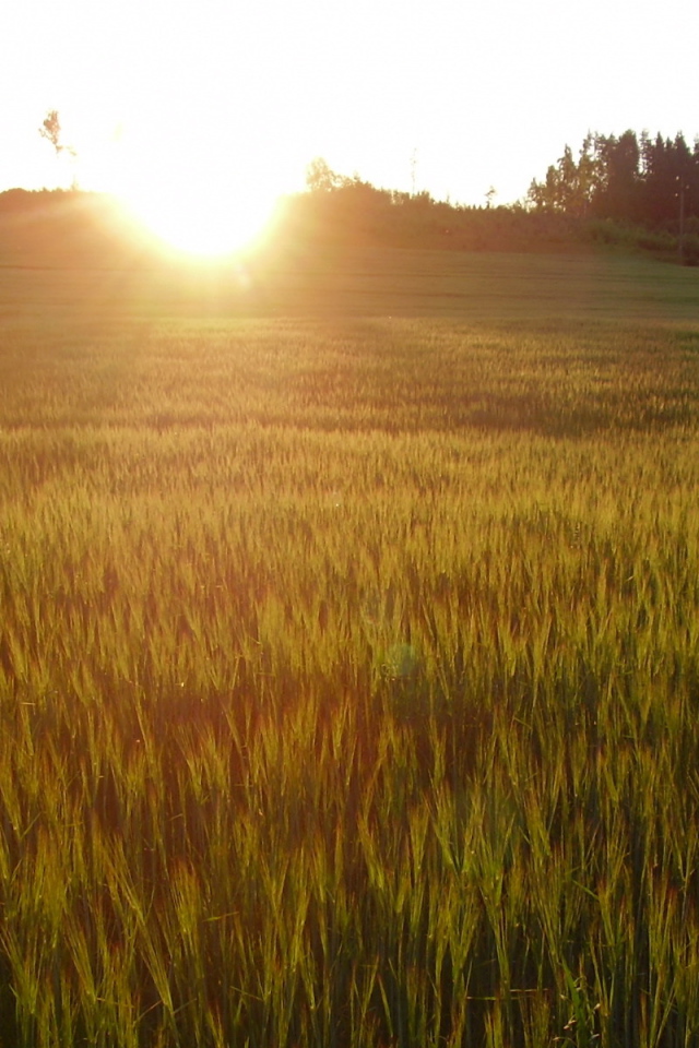 Солнце заходит за холм