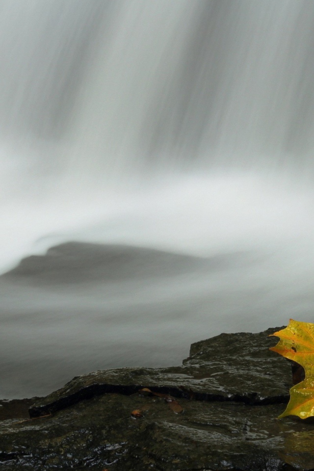 Осенний лист у водопада