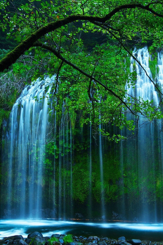 Красивый водопад среди зелени в чаще леса