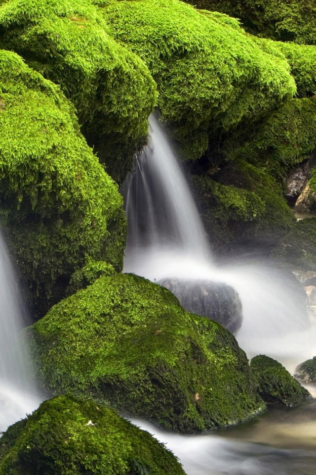 Вода стекает вниз среди поросших мхом камней