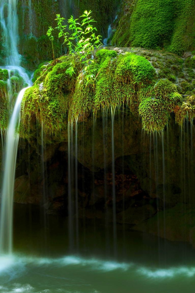 Вода стекает по покрытым мхом скалам
