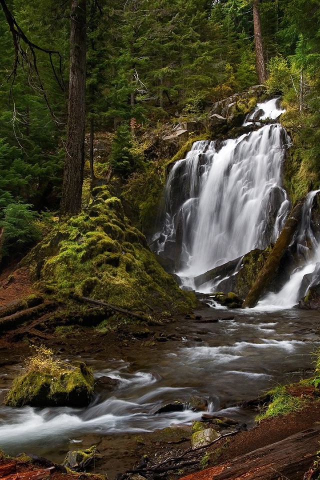 Водопад, скрытый в чаще леса