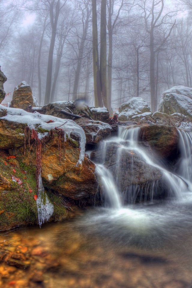 Водопад на фоне туманного леса