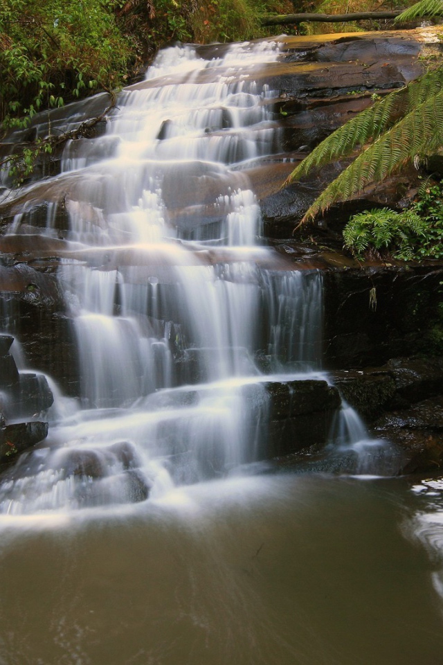 Водопад на черной скале в лесу