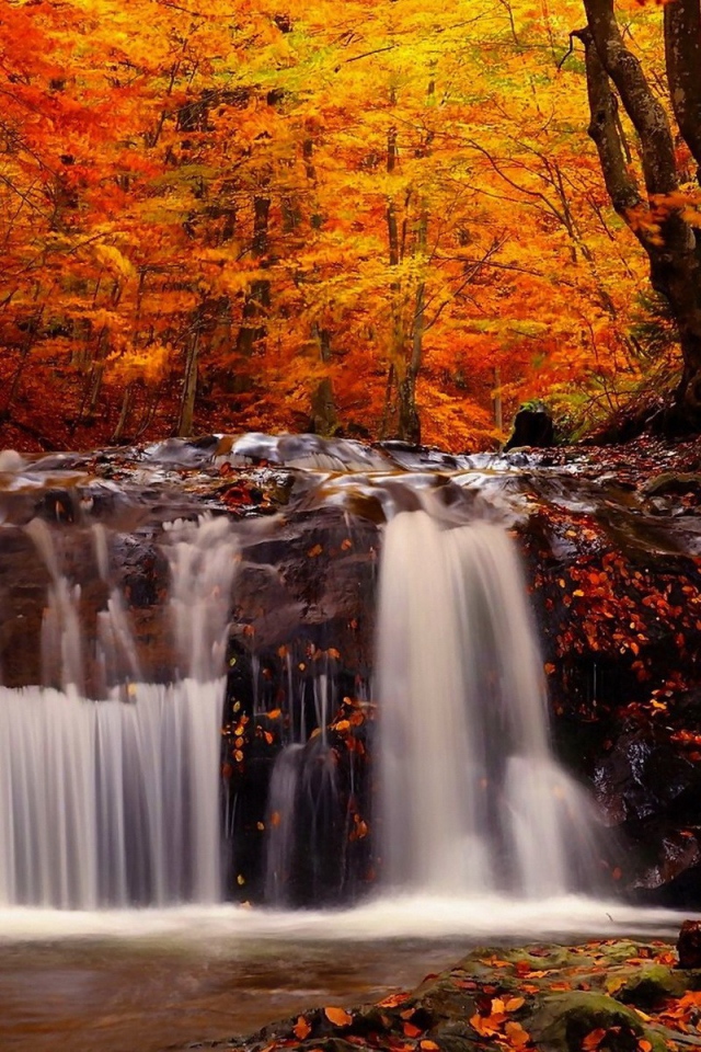 Водопад на камнях в осеннем лесу