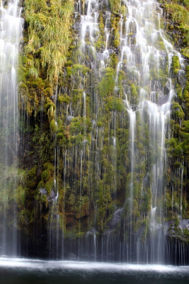 Водопад по зеленым зарослям