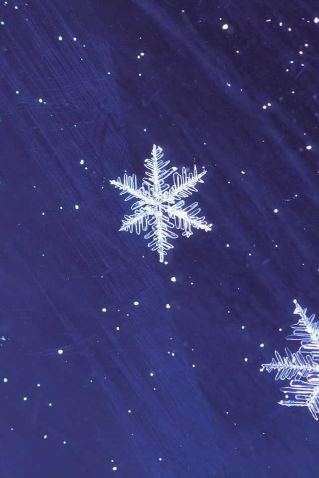 Снежинки на звездном небе