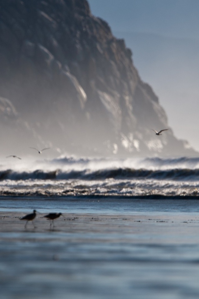 Одинокий всадник на берегу моря