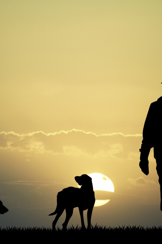 Охотник с собаками на фоне солнца