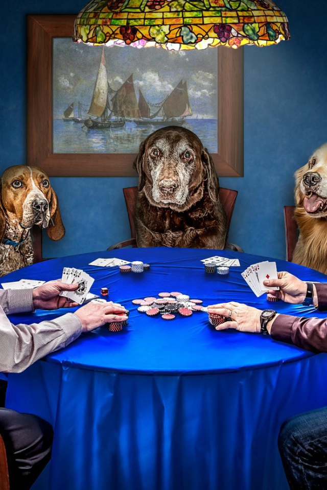 Игра в покер с собаками